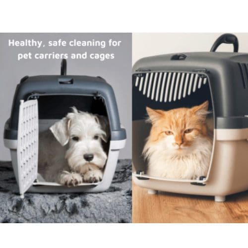 Dog and cat in travel carriers.