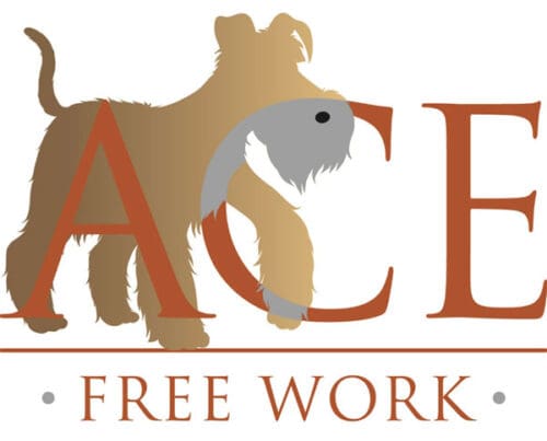 ACE free work logo