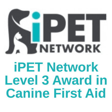 iPet network level 3 award