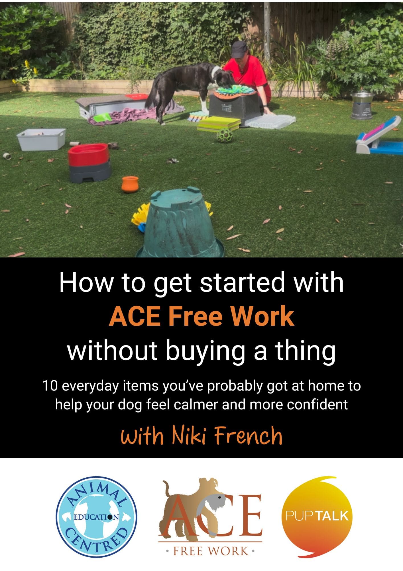 how-to-get-started-with-ace-free-work-without-buying-a-thing