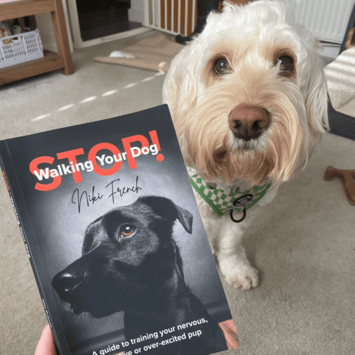 labradoodle-with-stop-walking-your-dog-book