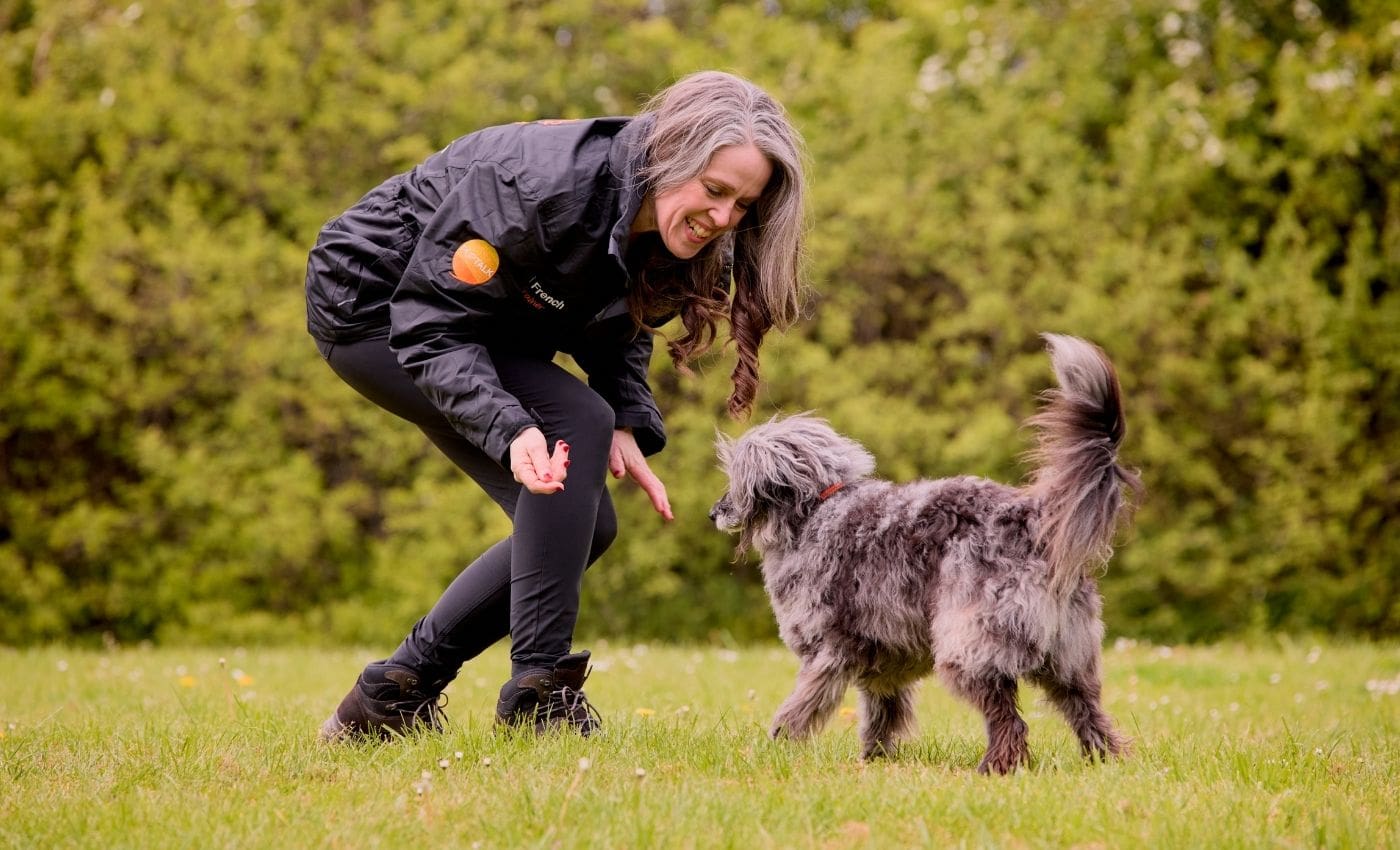 Dog Behaviour Package (In Person or On Line)