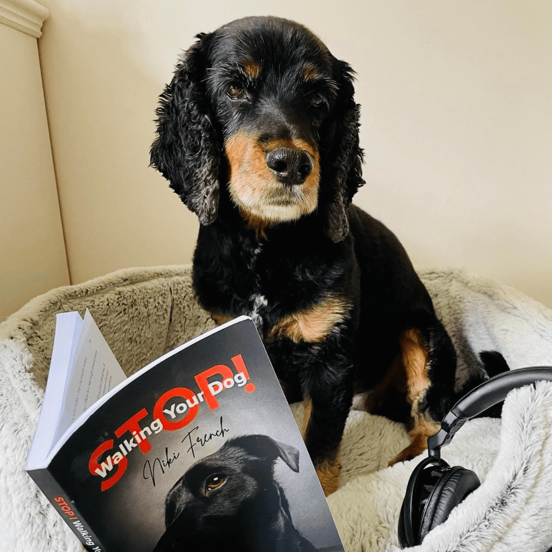 Bella the dog reading SWYD
