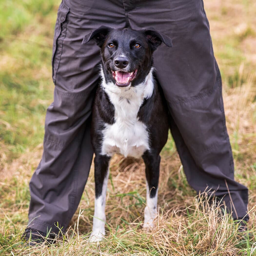 Bodie between the legs of a person