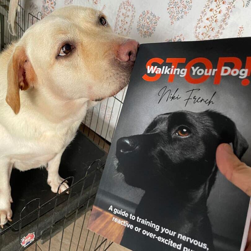 Dog smelling SWYD book