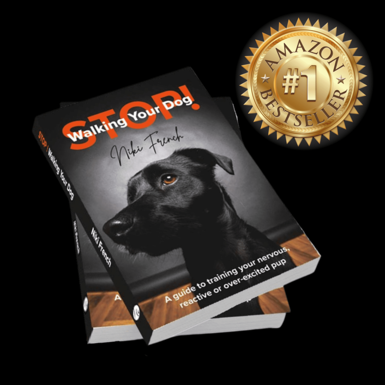 stop-walking-your-dog-book