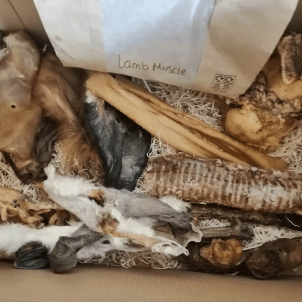Friends & Canines Monthly Dog Treat Box