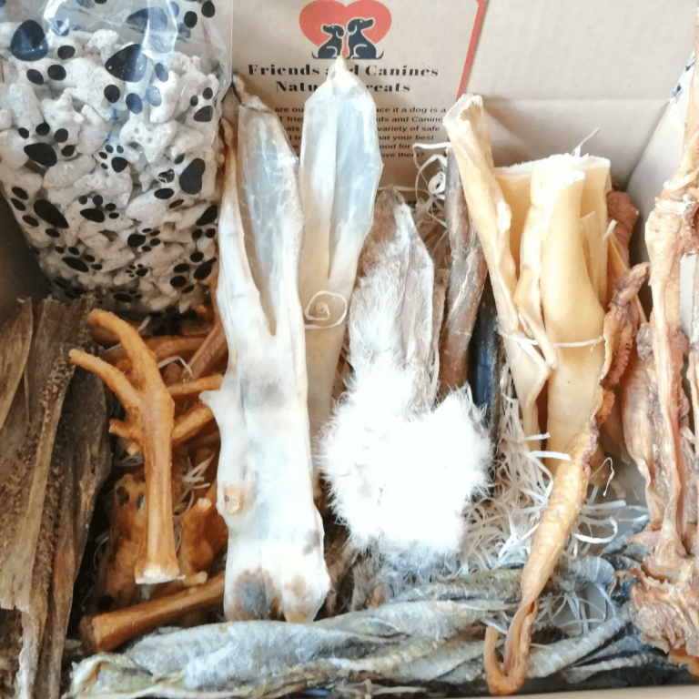 Friends & Canines Puppy Selection Box