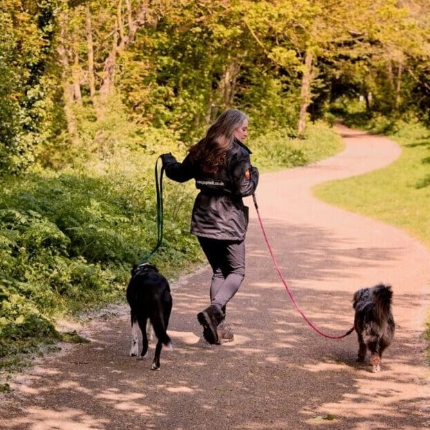 Niki lead walking Bodie and Jeanie website 1400 x 850 px