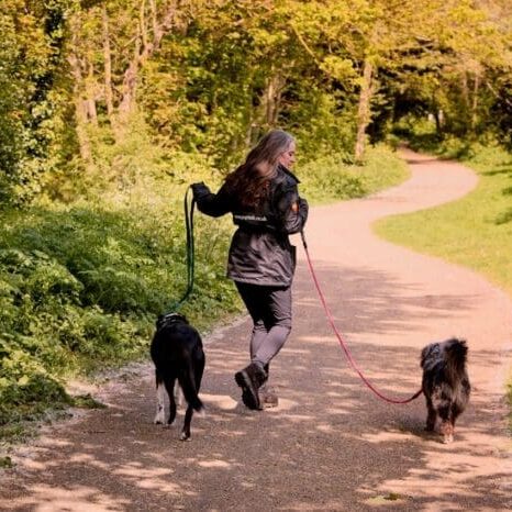 Niki lead walking Bodie and Jeanie website 1400 x 850 px