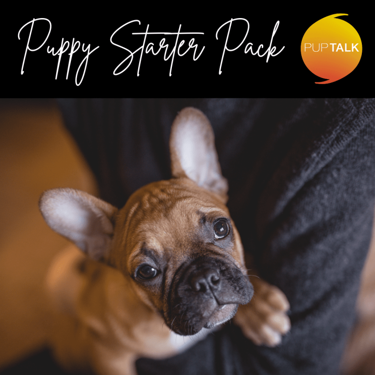 puppy-starter-pack