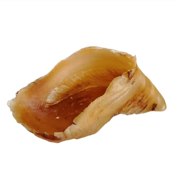 Cow hoof chew toy